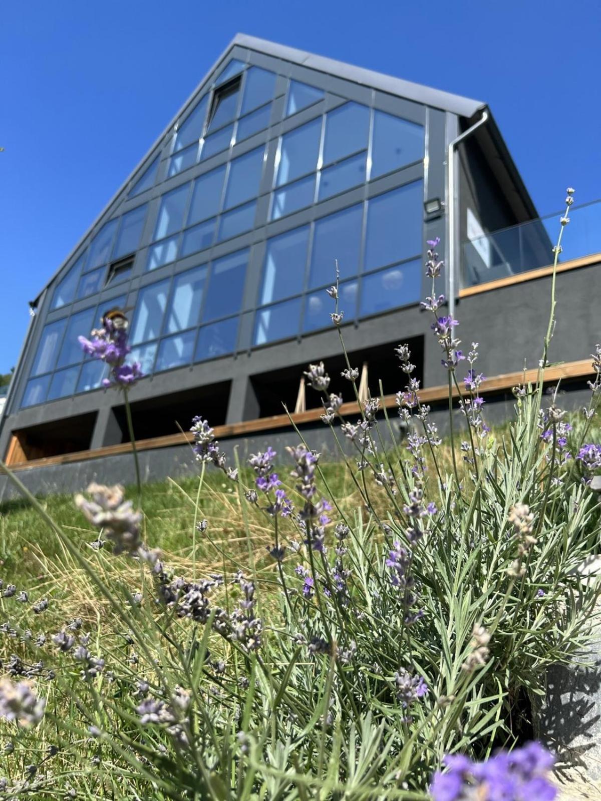 On Top Chalet Bran  Exterior photo